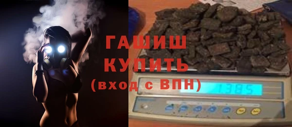 стаф Алзамай
