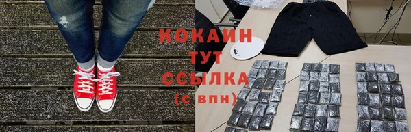 стаф Алзамай