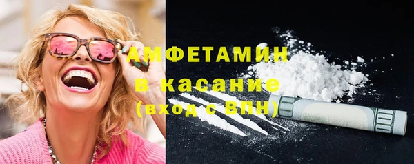 стаф Алзамай