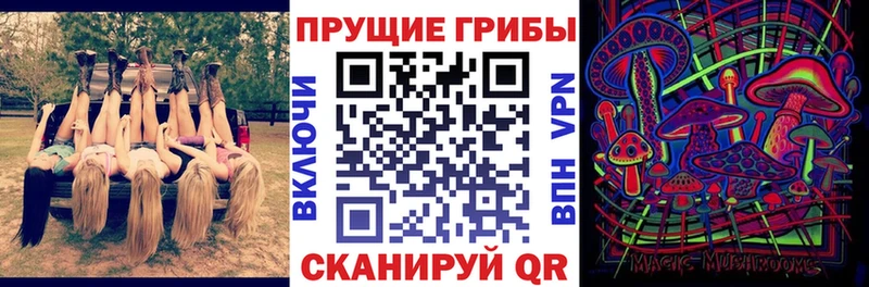 Галлюциногенные грибы Psilocybine cubensis  цены наркотик  Санкт-Петербург 